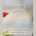 Arpus Brewing Co - Lemon x Coconut x Pineapple x Cherry Smoothie Sour Arpus Brewing Co - Lemon x Coconut x Pineapple x Cherry Smoothie Sour