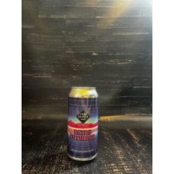 Fraugruber Retro Futurism  New England IPA - Alehub