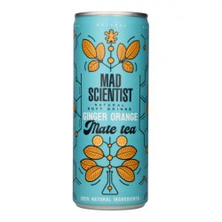 Mad Scientist Ginger Orange Mate Tea - Elings