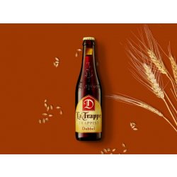 La Trappe Trappist Dubbel - Thirsty