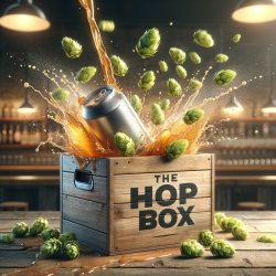 The Hop Box - 12 x DIPA and 12 x IPA  O Brother Brewing - O Brother Brewing