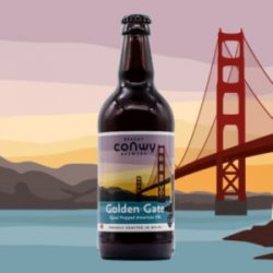 Conwy  Golden Gate  5.8% - The Black Toad