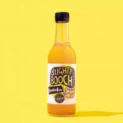 Blighty Booch Kombucha Ginger 6 x 330ml bottles - Stori Beer & Wine