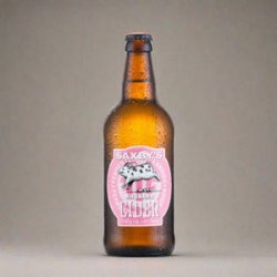 Saxbys Cider- Rhubarb - 3.5% - 500ml Bottle - MK Biergarten