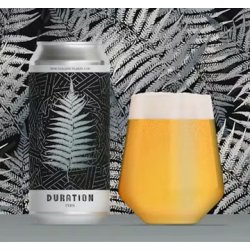 Duration Brewing Fern