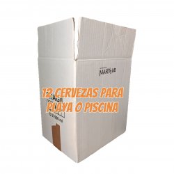 Lote 12 Cervezas Para Playa o Piscina - Las Cervezas de Martyn
