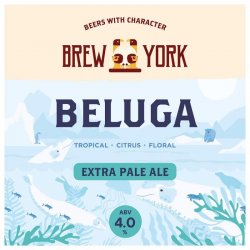 BREW YORK BREWERY Beluga (E-KEG SANKEY) 4.0% - Beer Paradise