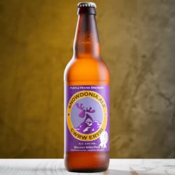 Purple Moose Cwrw Eryri 3.6% abv 500ml bottle - Stori Beer & Wine