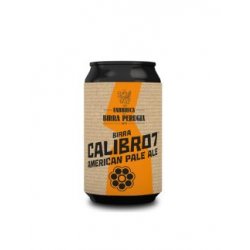 Birra Perugia Calibro 7 Latt.33cl. - UnaBirra