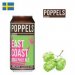 Poppels East Coast IPA 440ml CAN 