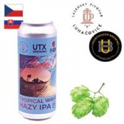 Luhačovice  Unorthodox Brewing - Tropical Wave 500ml CAN - Drink Online - Drink Shop