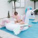 Unicorn Float 