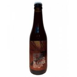 Van Moll Trapped In Amber