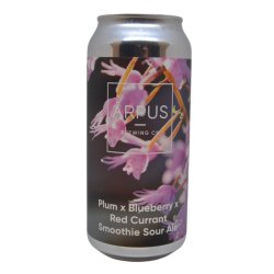 Ārpus Brewing Co. Plum X Blueberry X Red Currant Smoothie Sour Ale