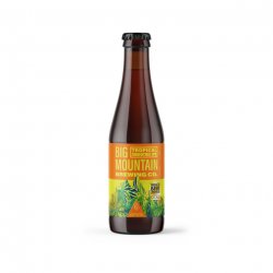 Tropical Smoothie IPA -  Big Moutain - Une Petite Mousse