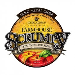 GWYNT Y DDRAIG CIDER Cloudy Scrumpy (BAG IN BOX) BB 09.08.23 5.3% - Beer Paradise