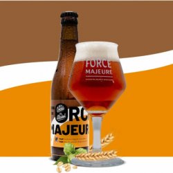 Force Majeure Triple  Sans alcool  33 cl - RB-and-Beer