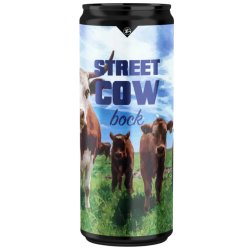 Kashmir Streetcow Kashmir Streetcow