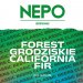 Nepomucen Forest Grodziskie California Fir 500ml 