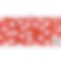 Other Half Brewing Co. Chicken & Broccoli