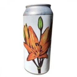 Fidens Brewing Co Lily