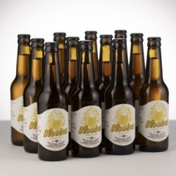 Pachet OLOVINA - Pale Ale 12 Pack - Berero