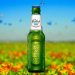 Grolsch Premium Pilsner alkoholfrei 0,3l Grolsch Premium Pilsner alkoholfrei 0,3l