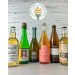 American Cider Association - Certified Pommelier Self Guided Study Kit for Cider Tasting Sensory Analysis 