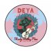 DEYA Steady Rolling Man 500ml canned 12.07.23 Best Before 12.01.2024 