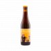 St. Bernardus Pater 6 33cl RB Best Before 10.06.24 