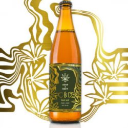 Hemp & Brew Pale Ale CBD - Sklep Impuls