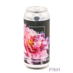 Ārpus Brewing Co. Mango x Guava x Apricot x Vanilla Smoothie Sour Ale - Pien