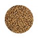 Crisp Dextrin Malt 
