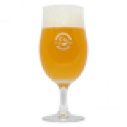 Harviestoun Tulip  568ml Glass - Beer Cartel