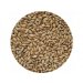 Crisp Chevallier Heritage Malt 