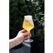 Range Brewing Flip Side Rastal Beer Teku Glass 