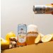 Vault City - Lemon & Ginger Radler 