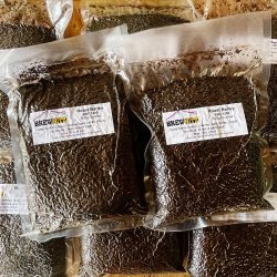 Roasted Barley  - Crushed - 500g - Warminster Maltings - Brewbitz Homebrew Shop