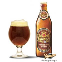 Bia Tucher Dunkles Hefeweizen 5.2%  Chai 500ml – Thùng 20 Chai - PHouse – Đồ Uống Cao Cấp