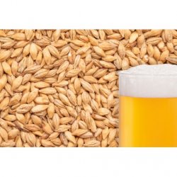 MALTA CARAMEL PILS BESTMALZ - Insumos Cerveceros de Occidente