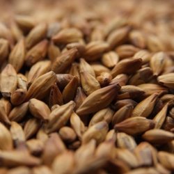 MALTA CARAMUNICH TYP2 WEYERMANN - Insumos Cerveceros de Occidente