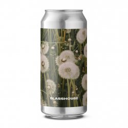 GlassHouse Dandelion - GlassHouse Beer Co