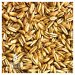 MALTA GOLDEN NAKED OATS® (AVENA DORADA SIN CASCARA) SIMPSONS MALTA GOLDEN NAKED OATS® (AVENA DORADA SIN CASCARA) SIMPSONS