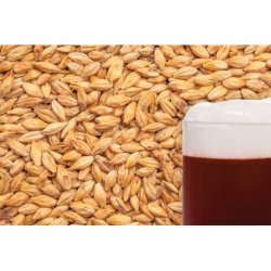 MALTA MELANOIDIN BESTMALZ - Insumos Cerveceros de Occidente