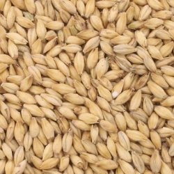 MALTA PILSEN AVANGARD - Insumos Cerveceros de Occidente