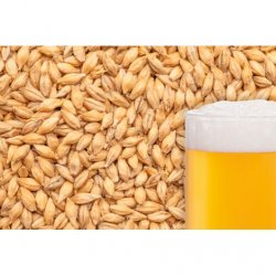 MALTA PILSEN MALT BESTMALZ - Insumos Cerveceros de Occidente