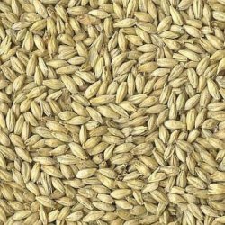 MALTA TWO ROW AVANGARD - Insumos Cerveceros de Occidente