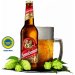 Gambrinus PATRON 12 