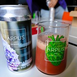 Ārpus Brewing Co. Ārpus Plum X Banana X Peach X Cherry X Coconut Smoothie Sour Ale