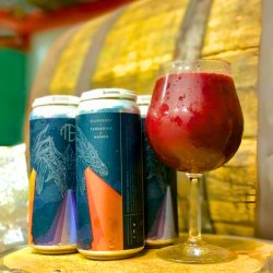 Mortalis Brewing Co - Hydra: Blueberry + Tangerine + Mango - Left Field Beer